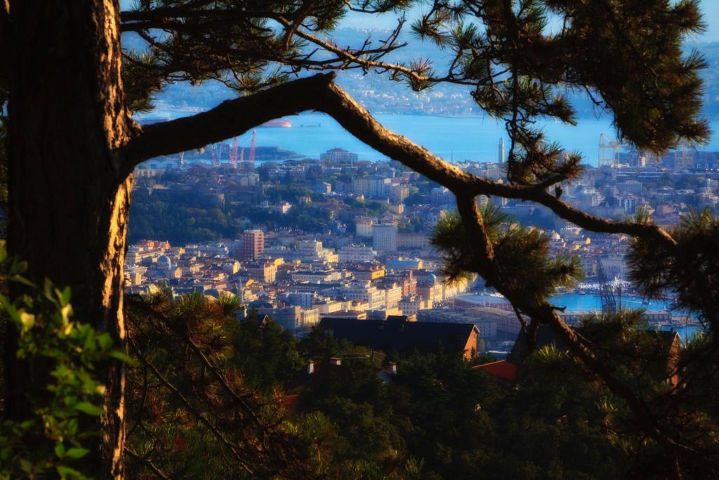 Panorama (foto G. Mussardo)